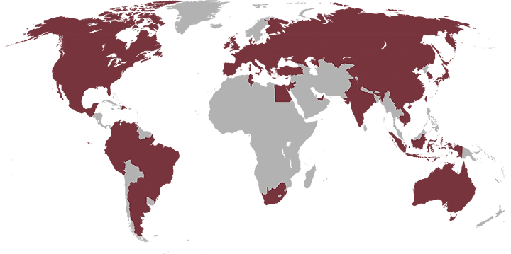 political world